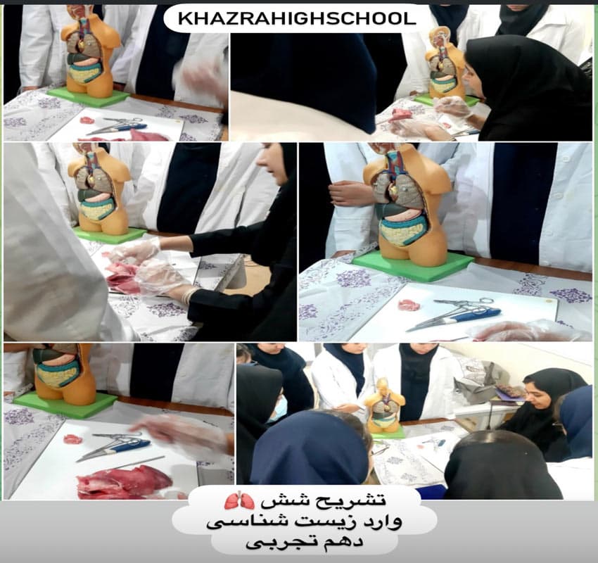 دبيرستان غيردولتي خضرا