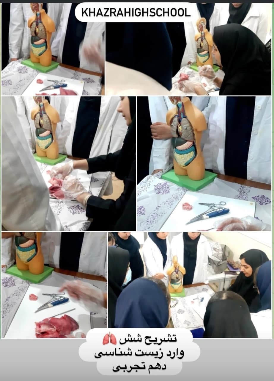 بخش زیست شناسی.تشریح شش