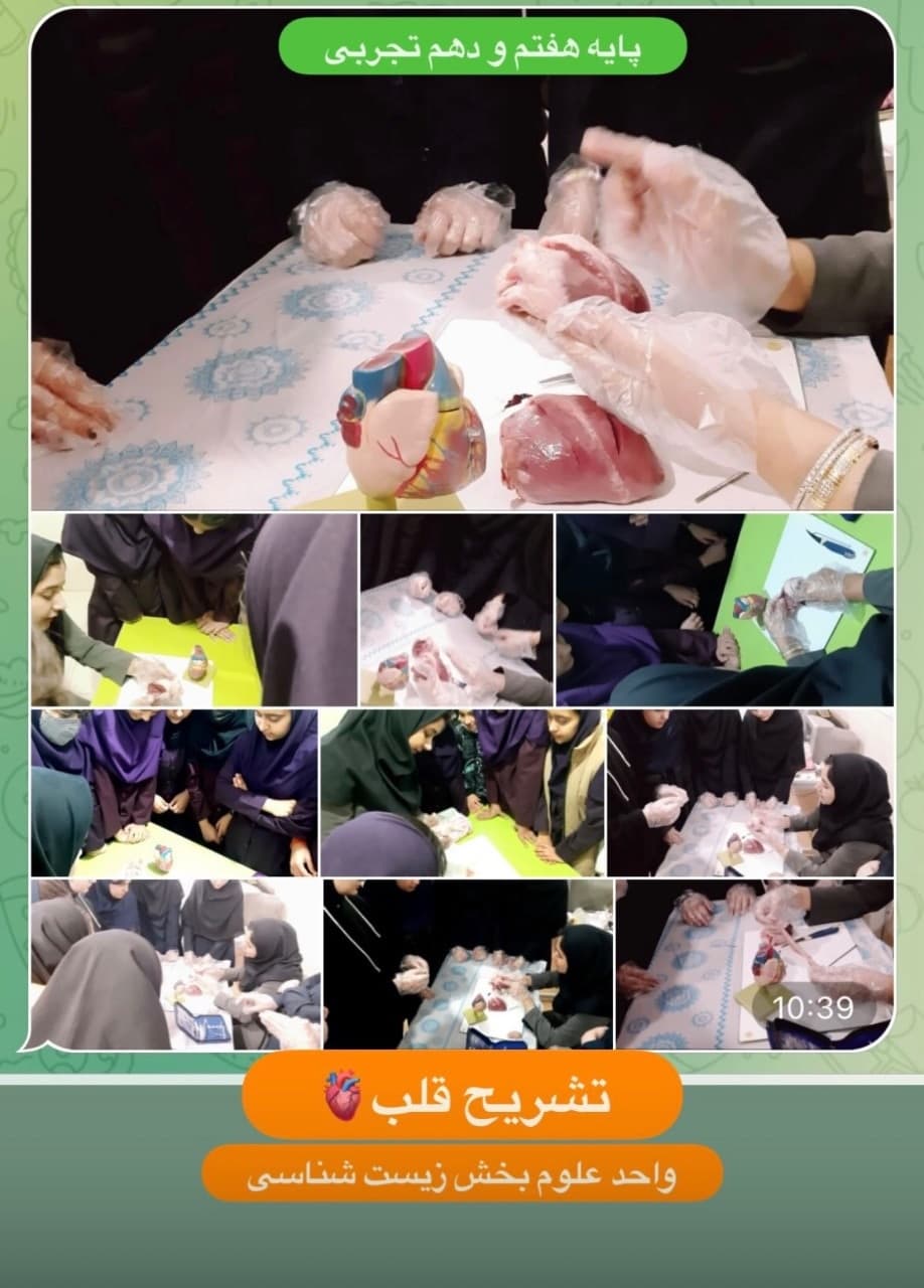 بخش زیست شناسی. تشریح قلب